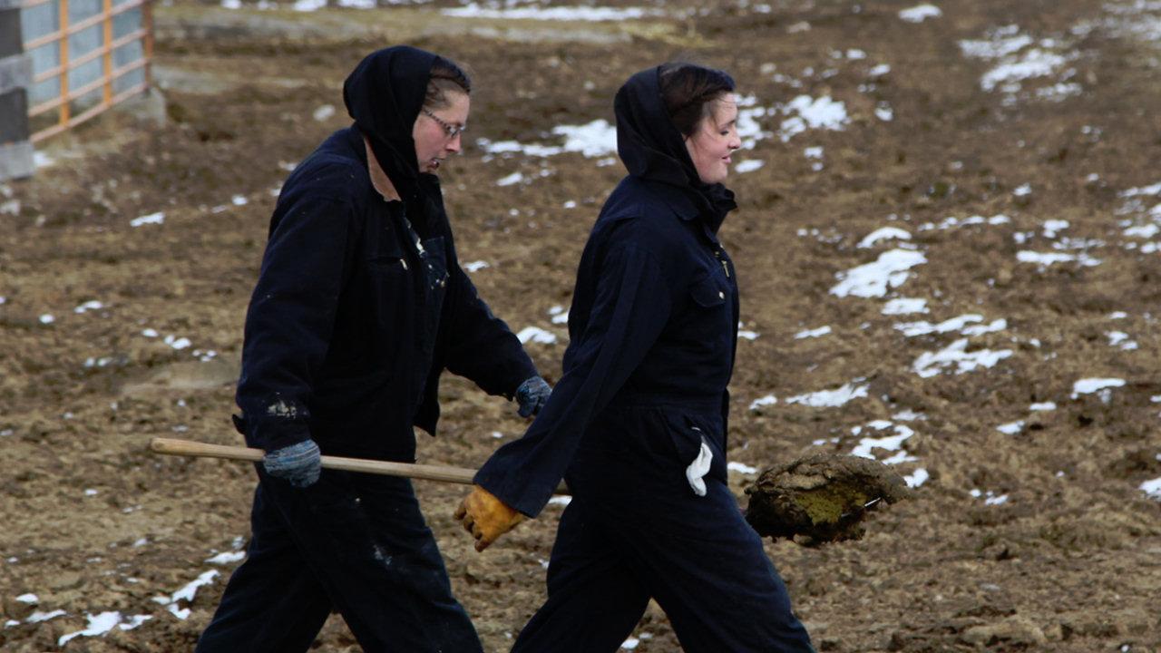 American Colony Meet the Hutterites