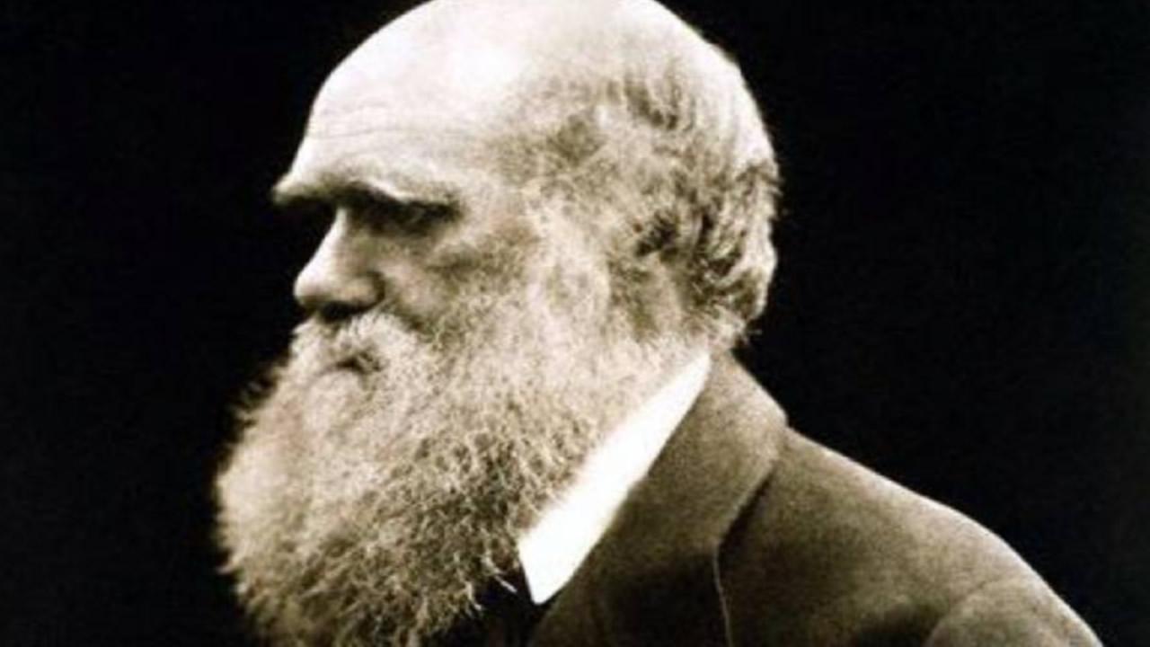 Charles Darwin and the Tree of Life