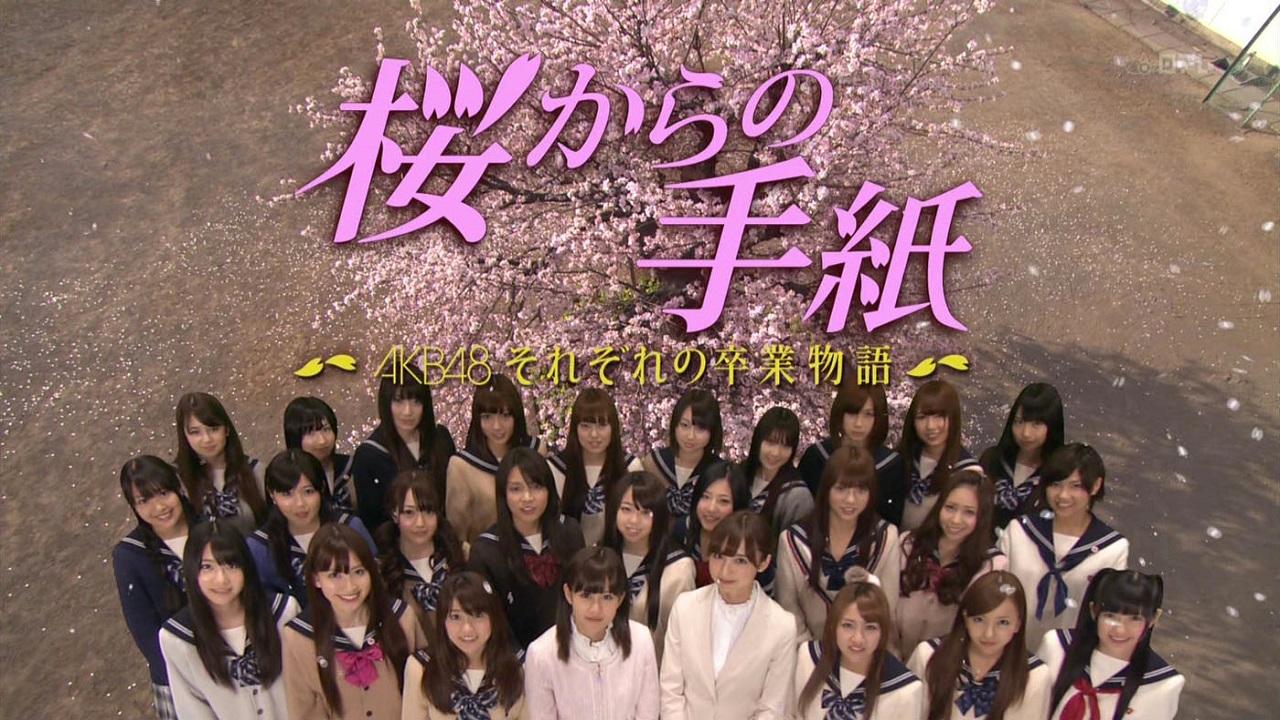 Letters from a Sakura Tree