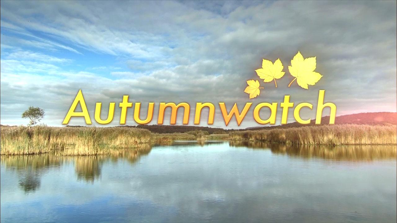 Autumnwatch