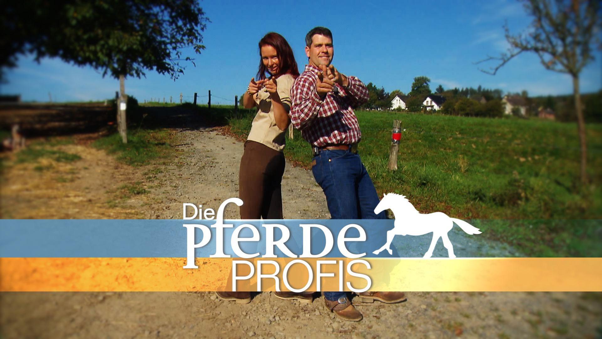 The Horse Professionals