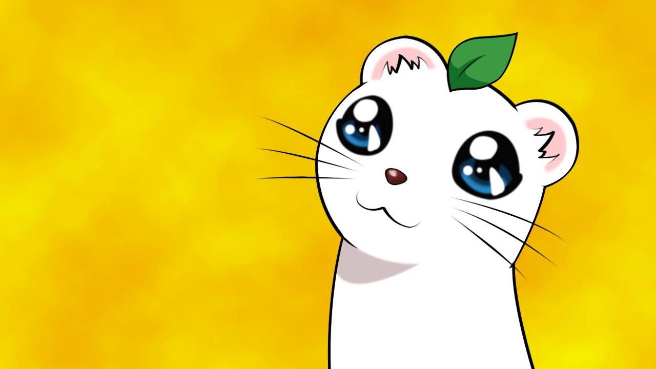 しあわせソウのオコジョさん