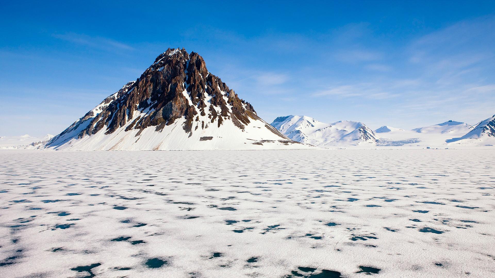Wildest Arctic