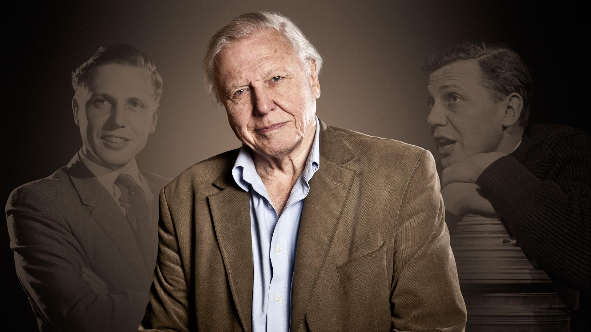 Attenborough: 60 Years in the Wild