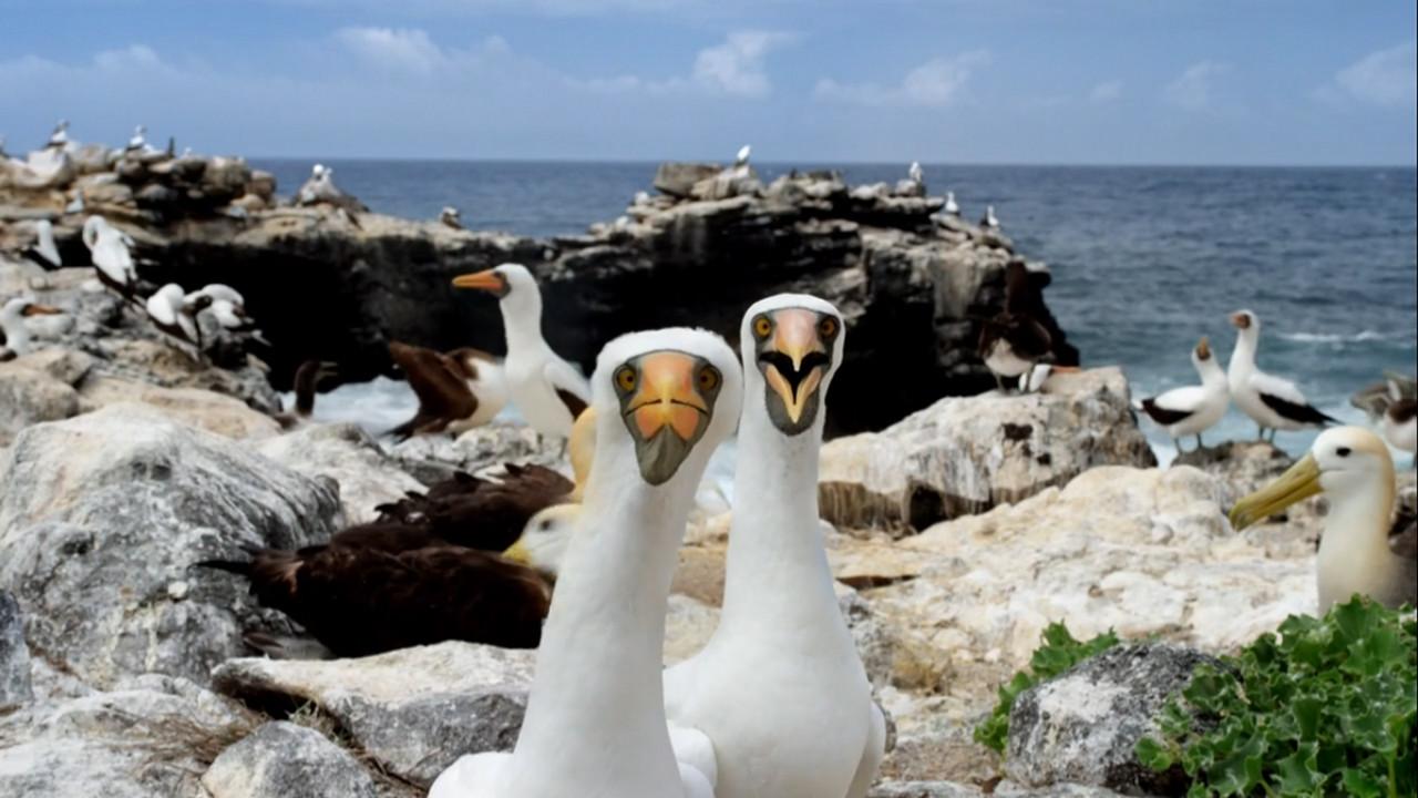 Galapagos with David Attenborough