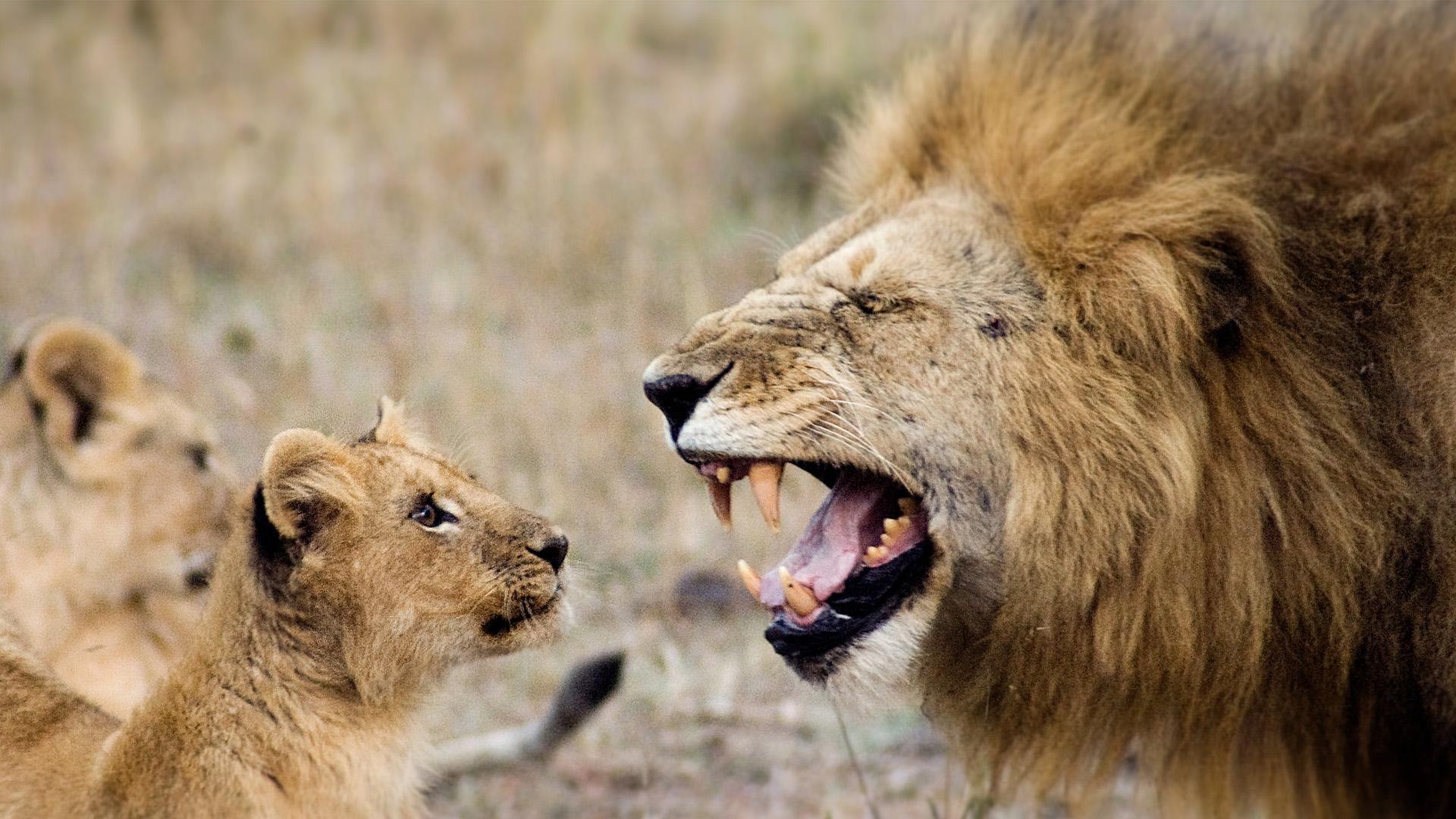 Disneynature