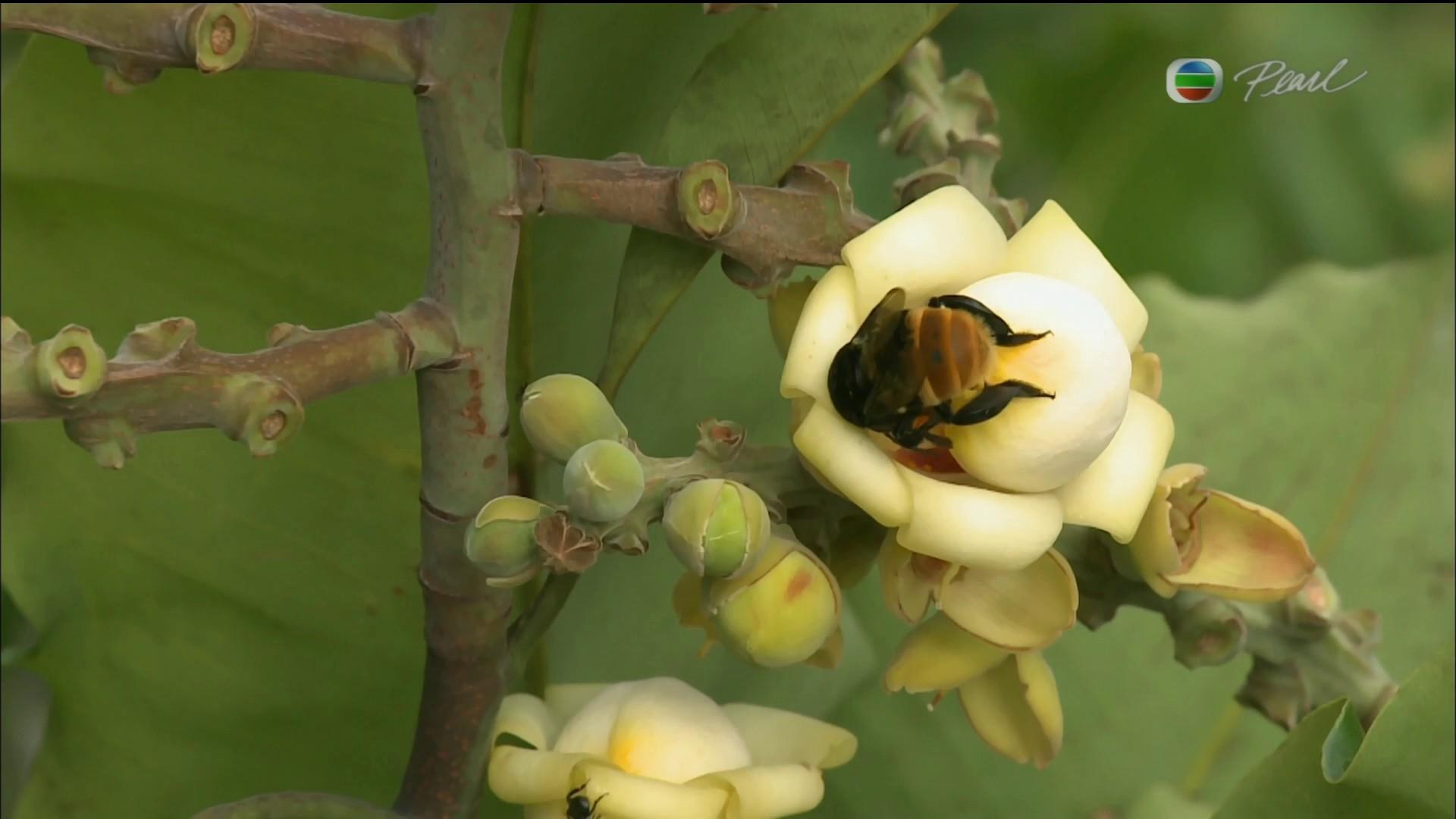 Así funciona la naturaleza