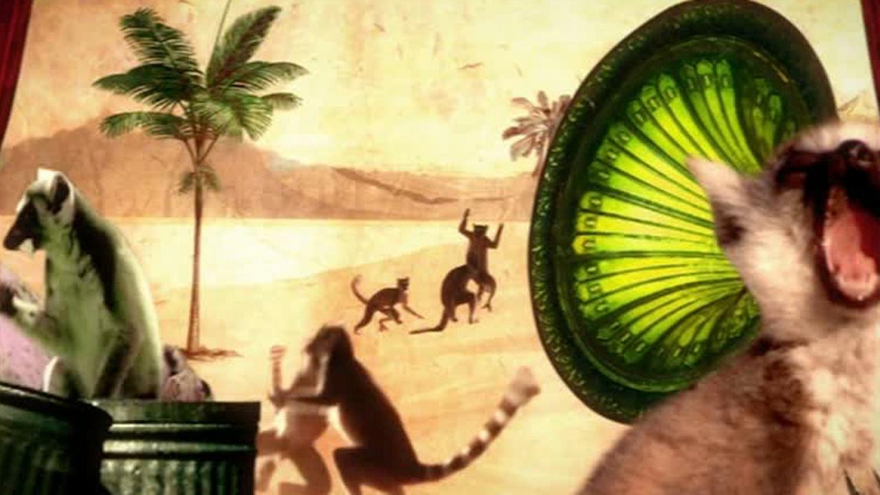 Lemur Street