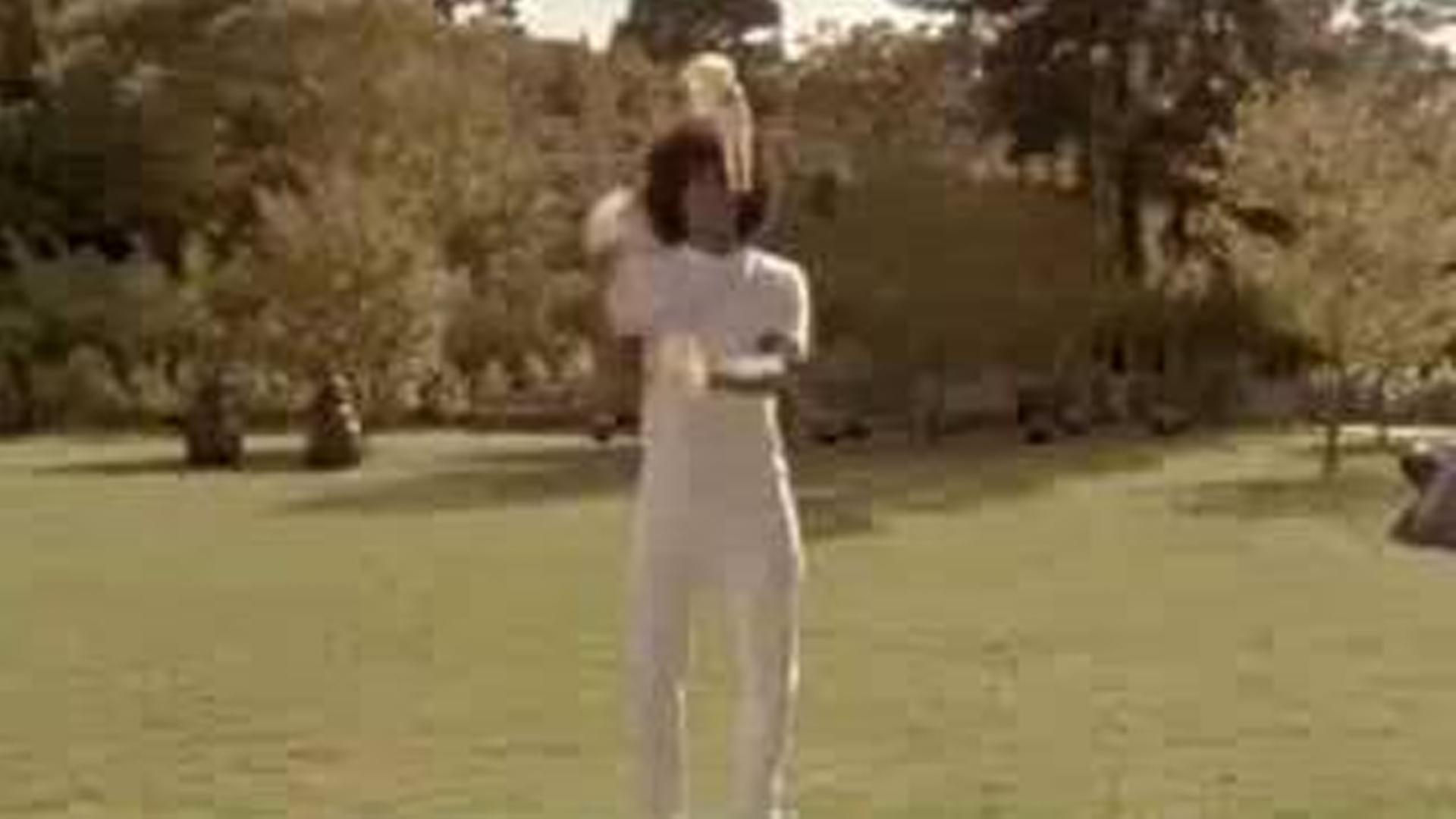 Demetri Martin's Clearification