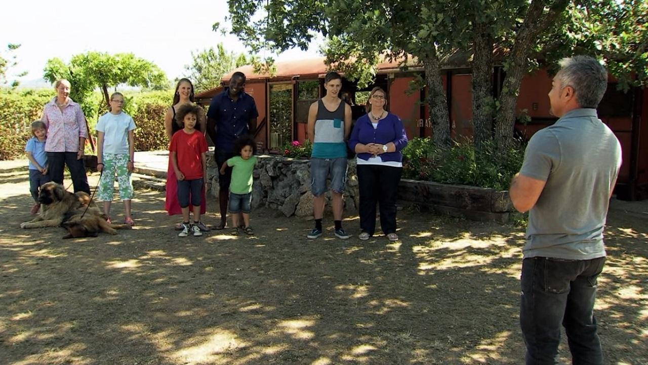Cesar Millan's Leader of the Pack