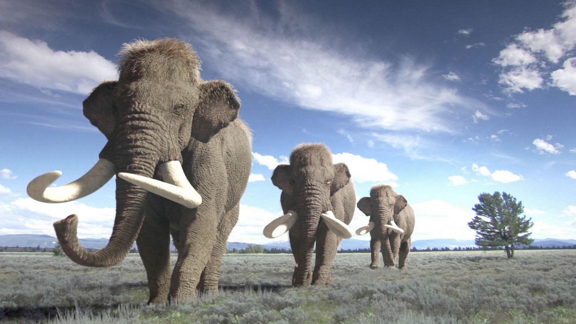 Ice Age Giants