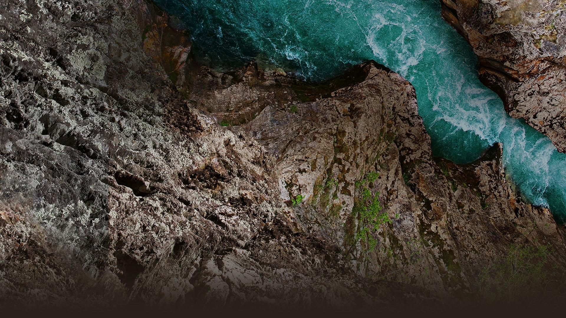 Get Out Alive with Bear Grylls