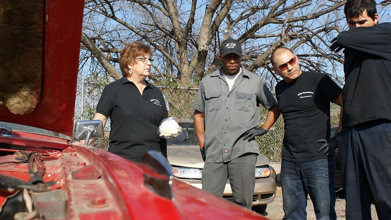 Dallas Car Sharks