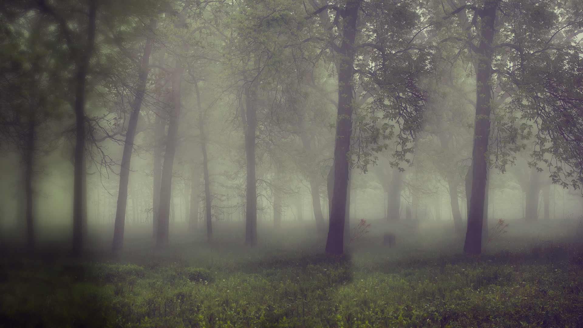 Haunted History (2013)