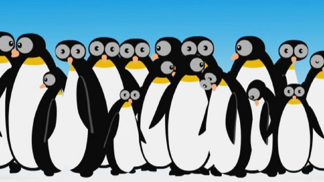 Zoo Mix