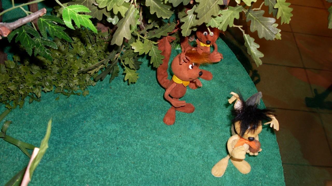 The Adventures of Sam the Squirrel