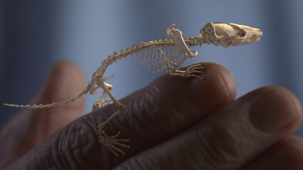 Il pianeta dei mammiferi con David Attenborough