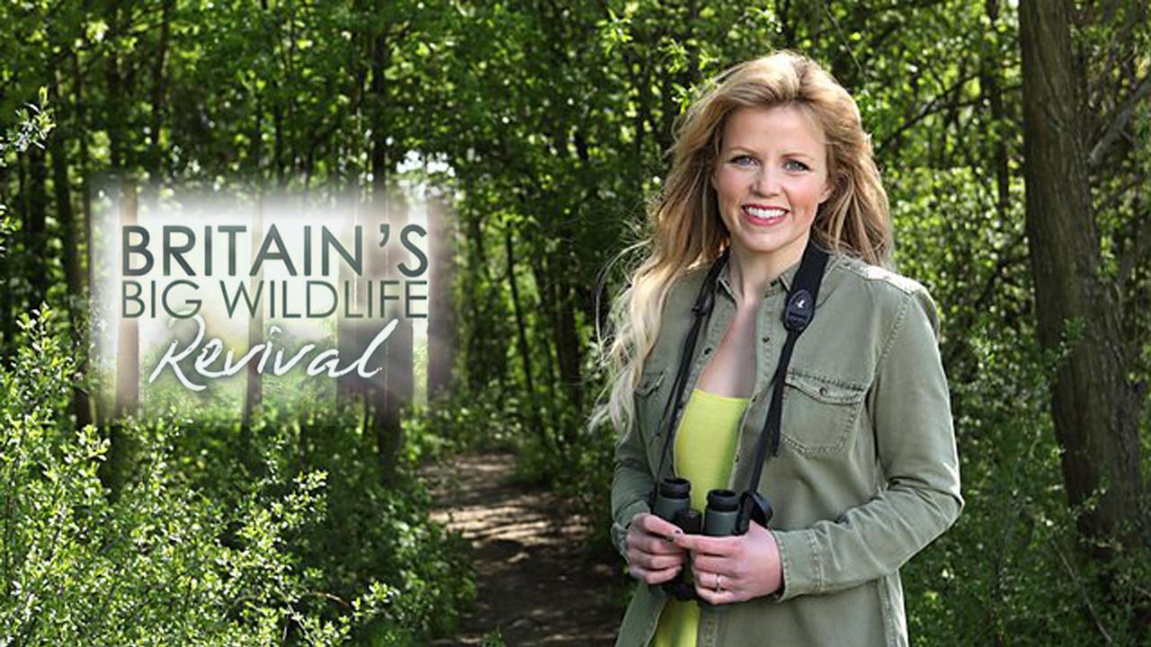 Britain's Big Wildlife Revival