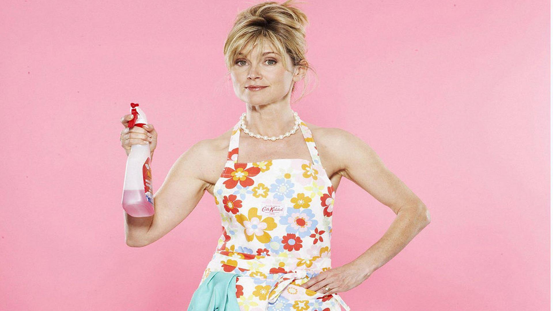 The Perfect Housewife