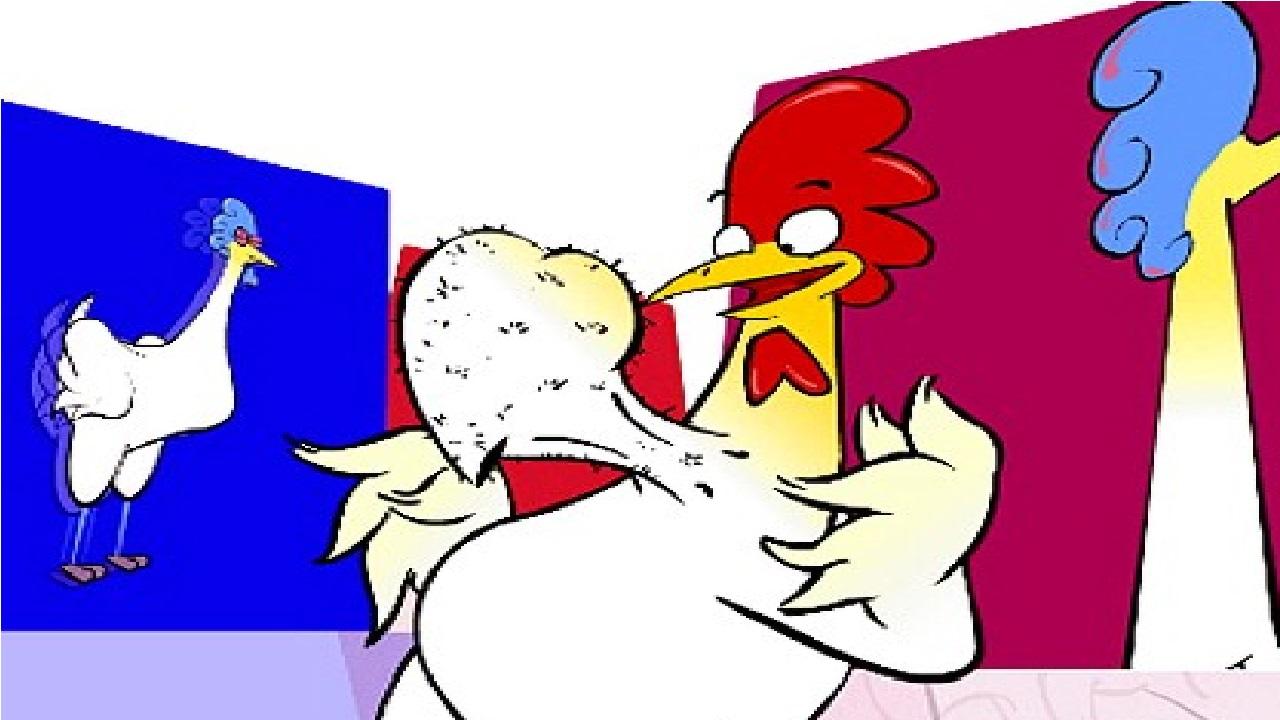 Gino il pollo