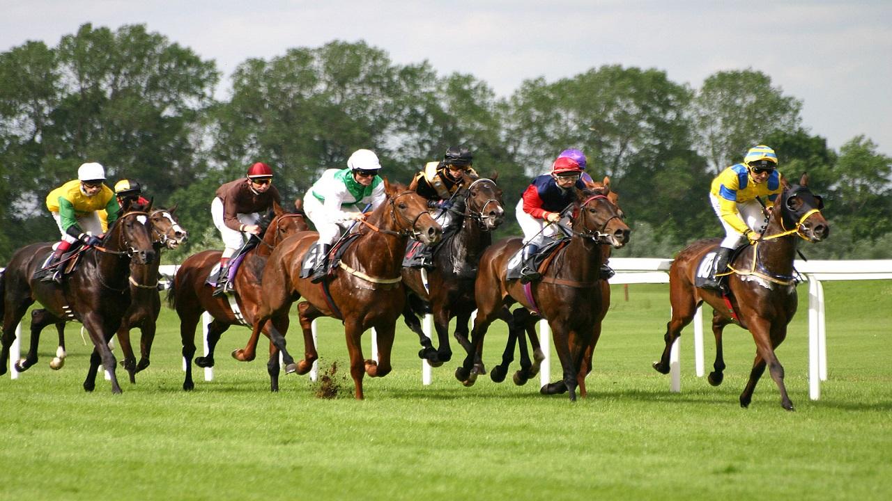Horseplayers
