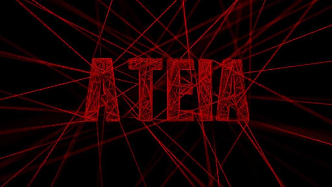 The Web (2014)
