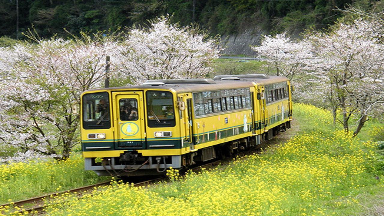 菜の花ラインに乗りかえて