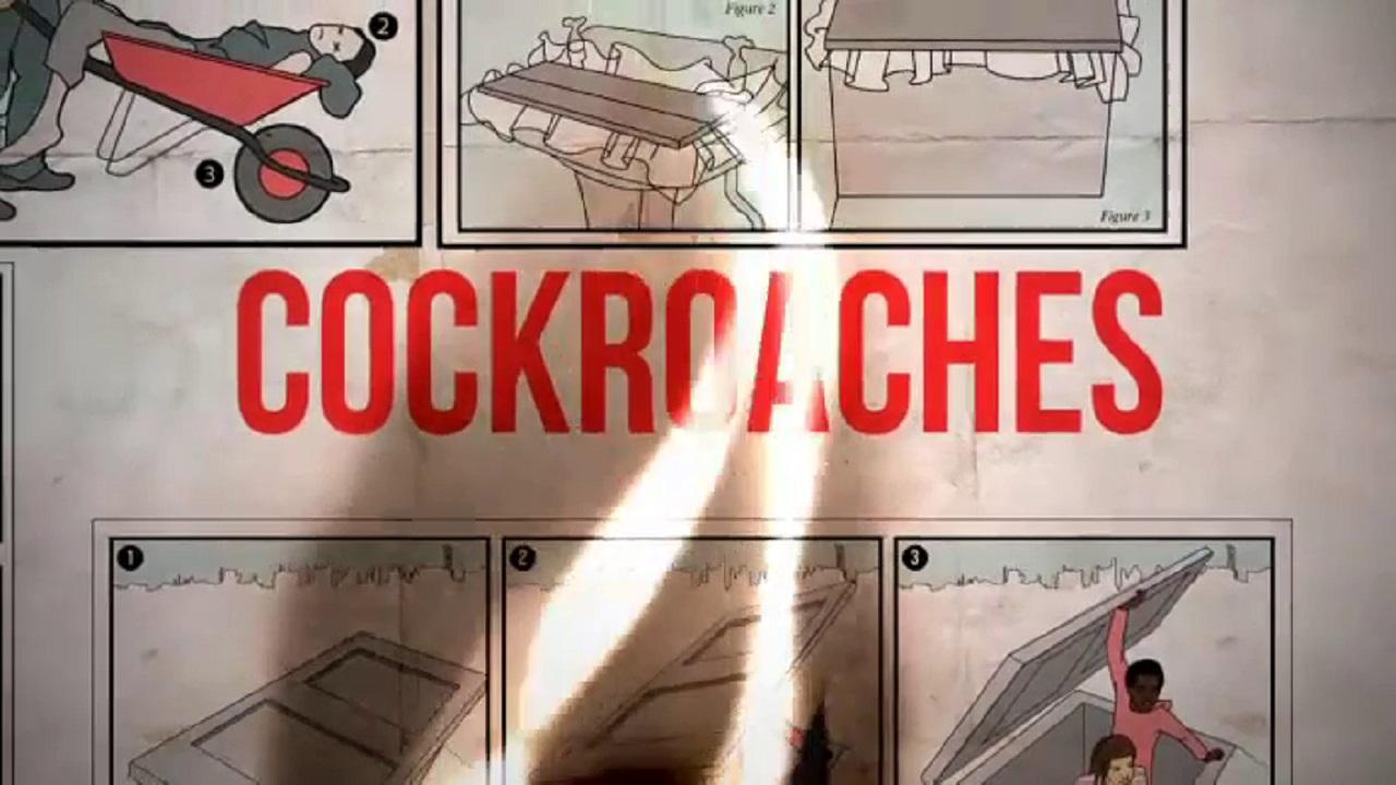 Cockroaches