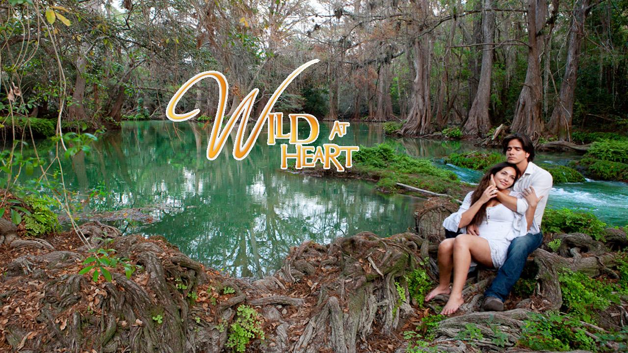 Wild at Heart (2013)