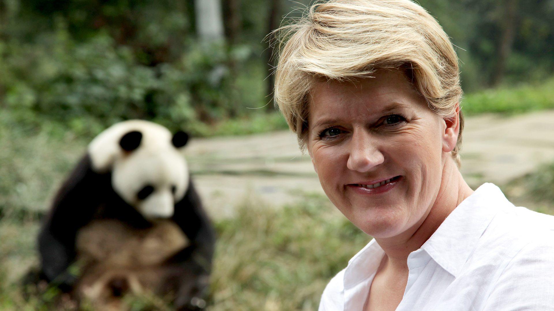 Operation Wild (UK)