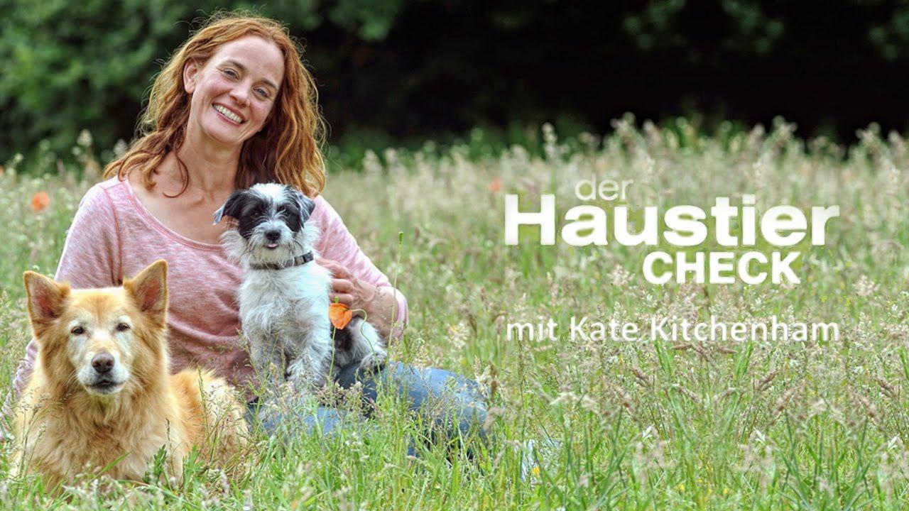 Der Haustier-Check