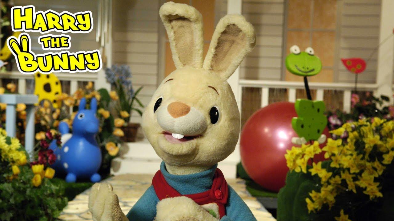 Harry the Bunny