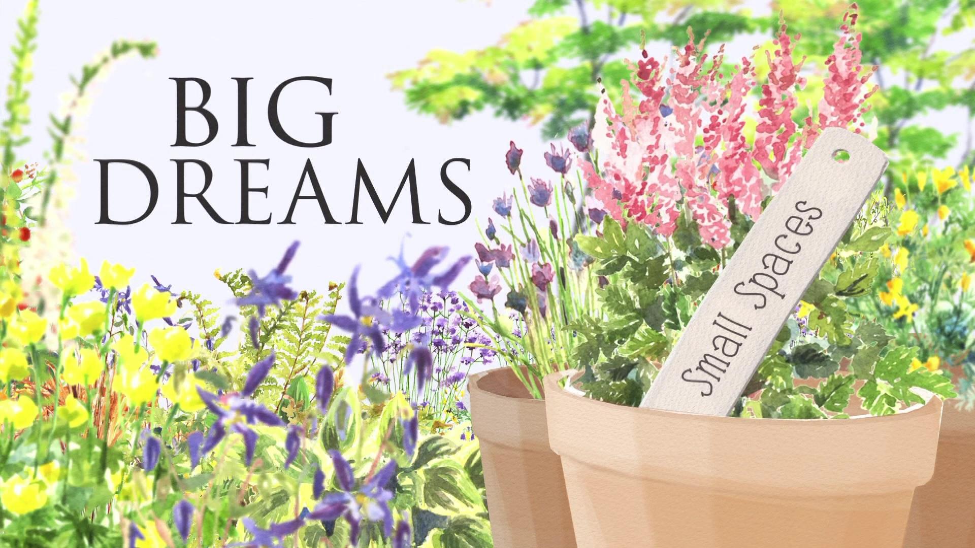 Big Dreams Small Spaces
