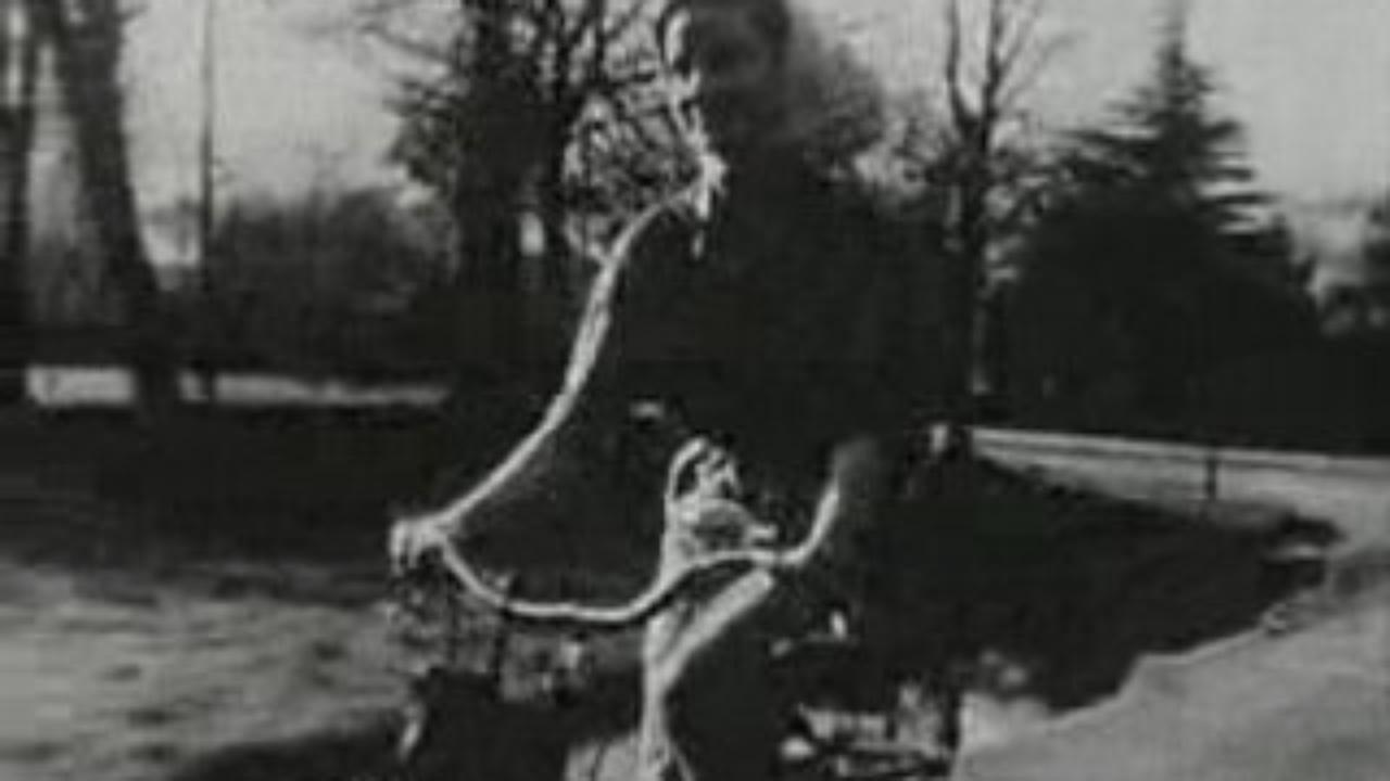 Janique Aimée