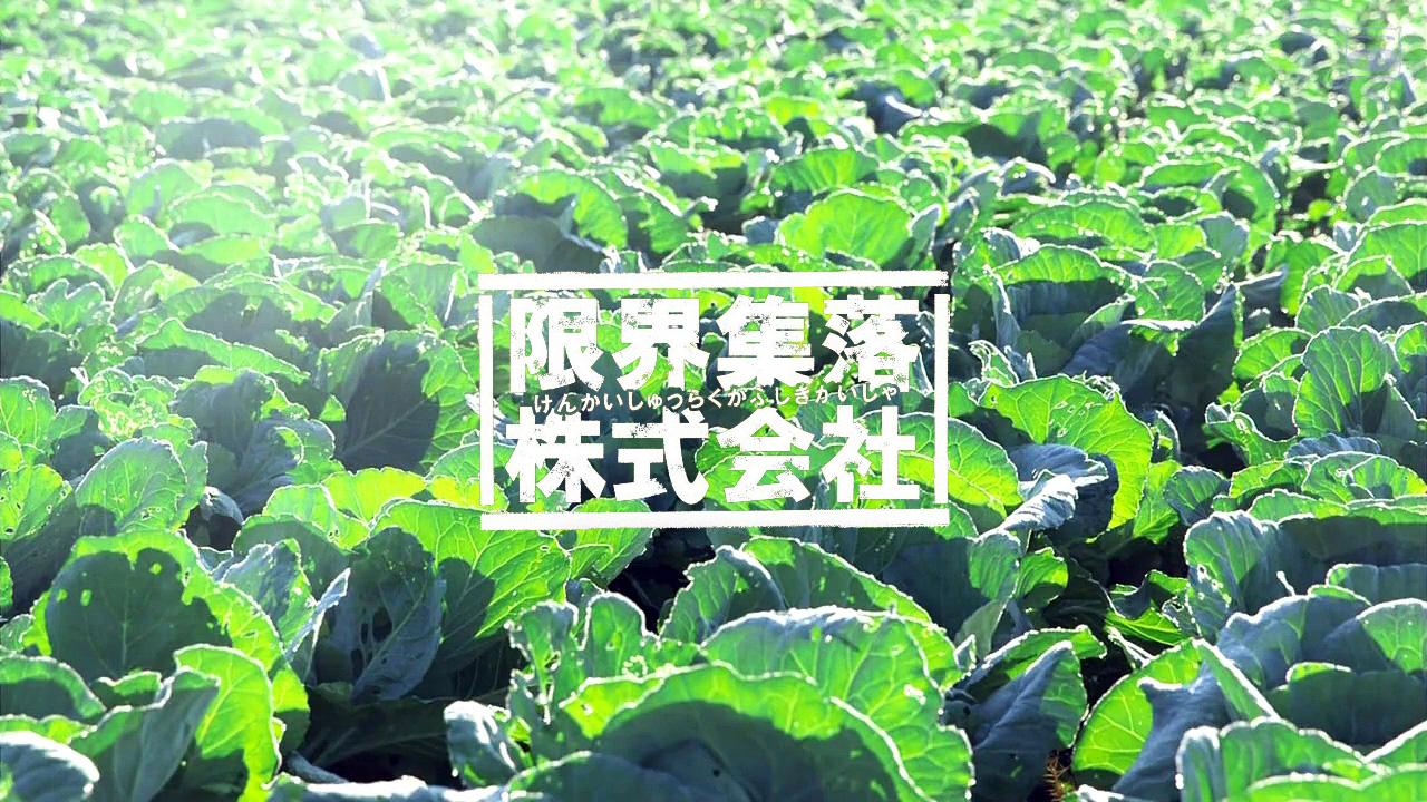 Limited Village Corporation