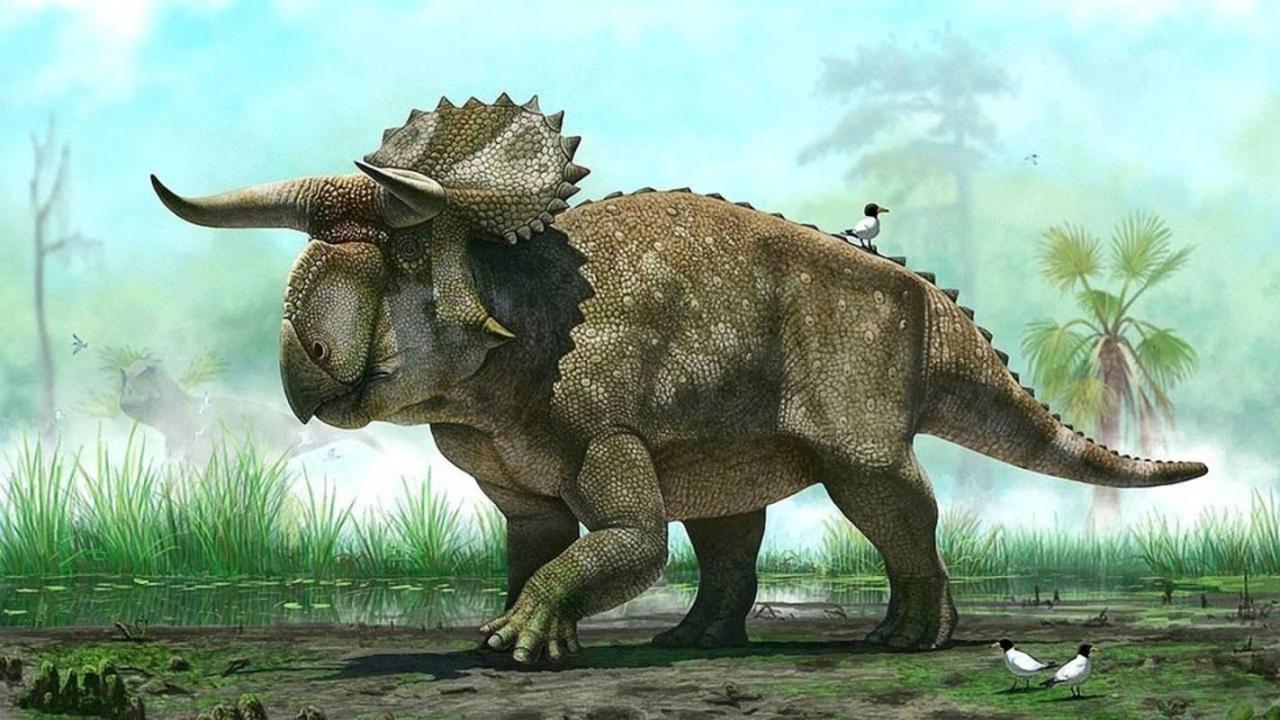Dinosaurs: The Untold Story