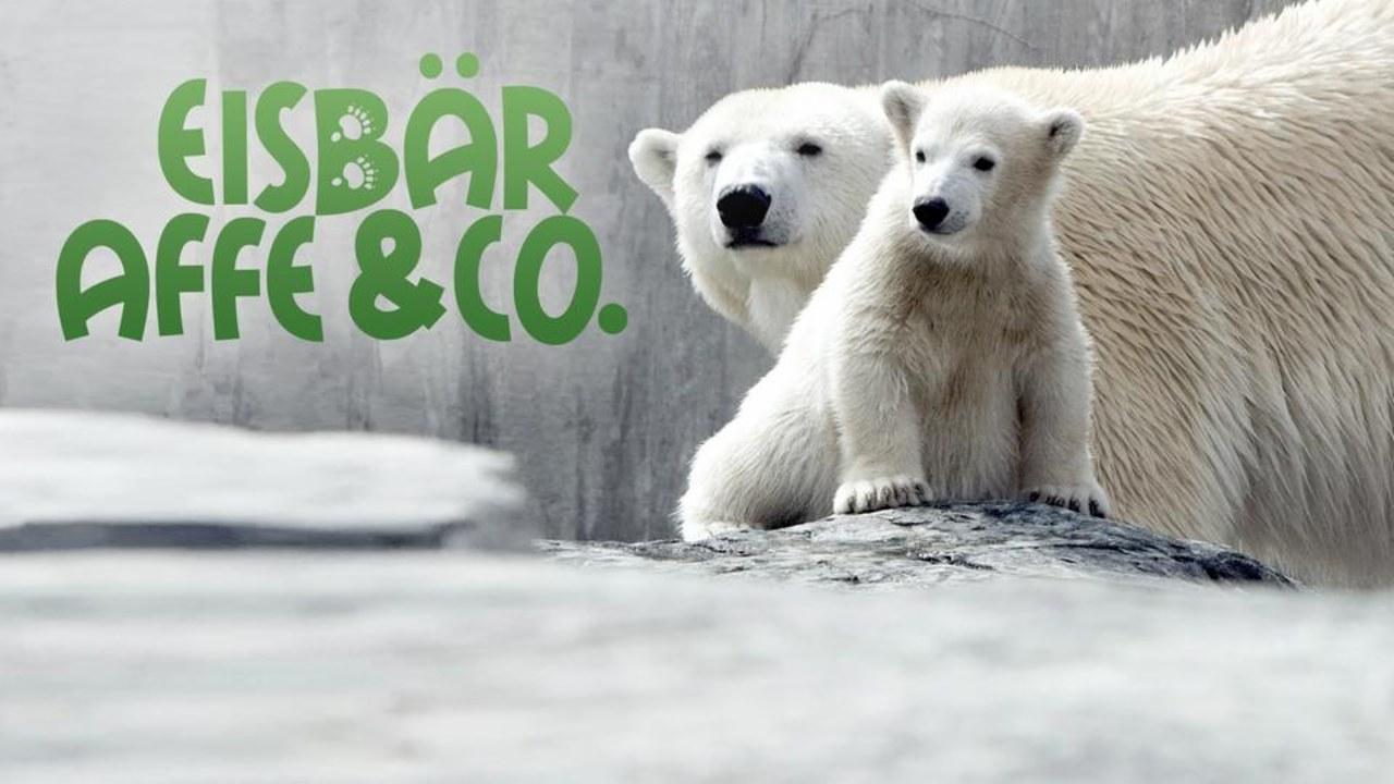 Eisbär, Affe & Co.