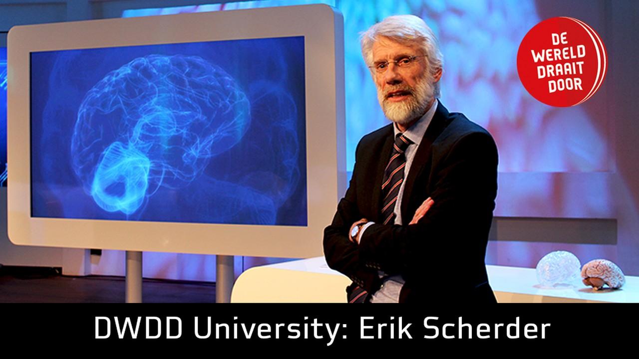 DWDD University: Het brein
