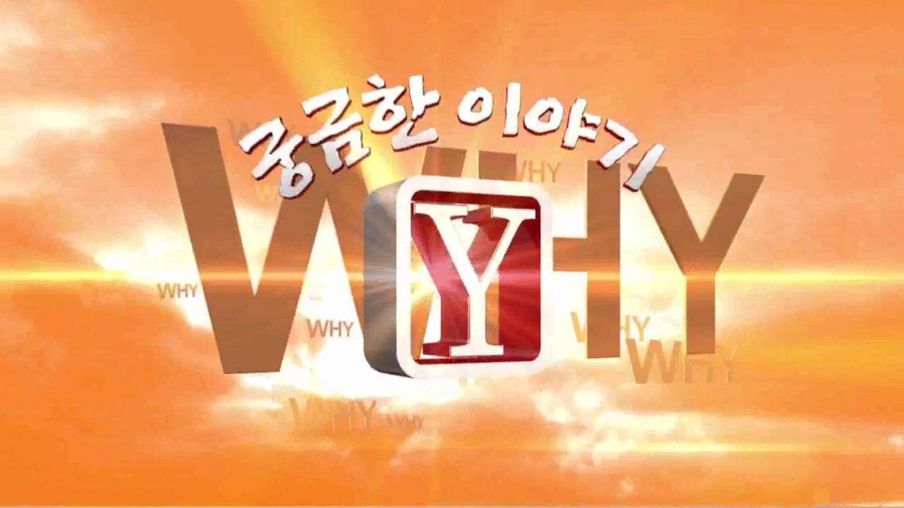 궁금한 이야기 Y