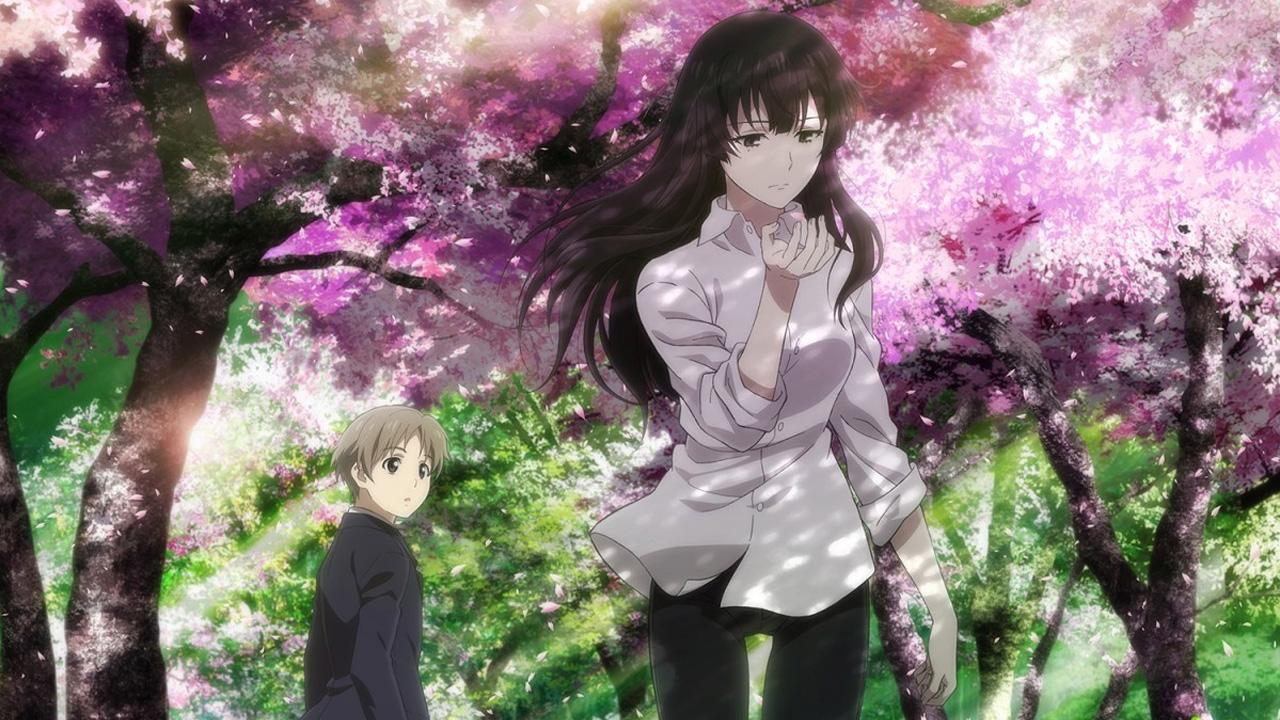Beautiful Bones -Sakurako's Investigation-