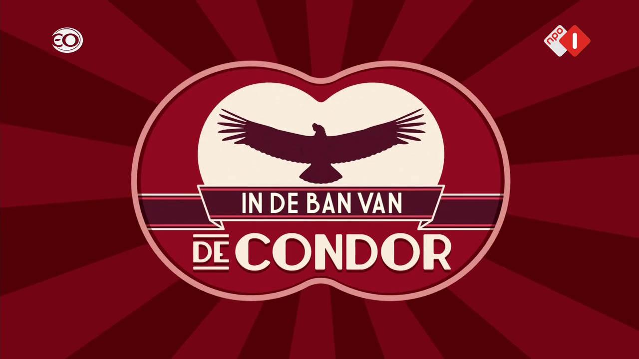 In de ban van de condor