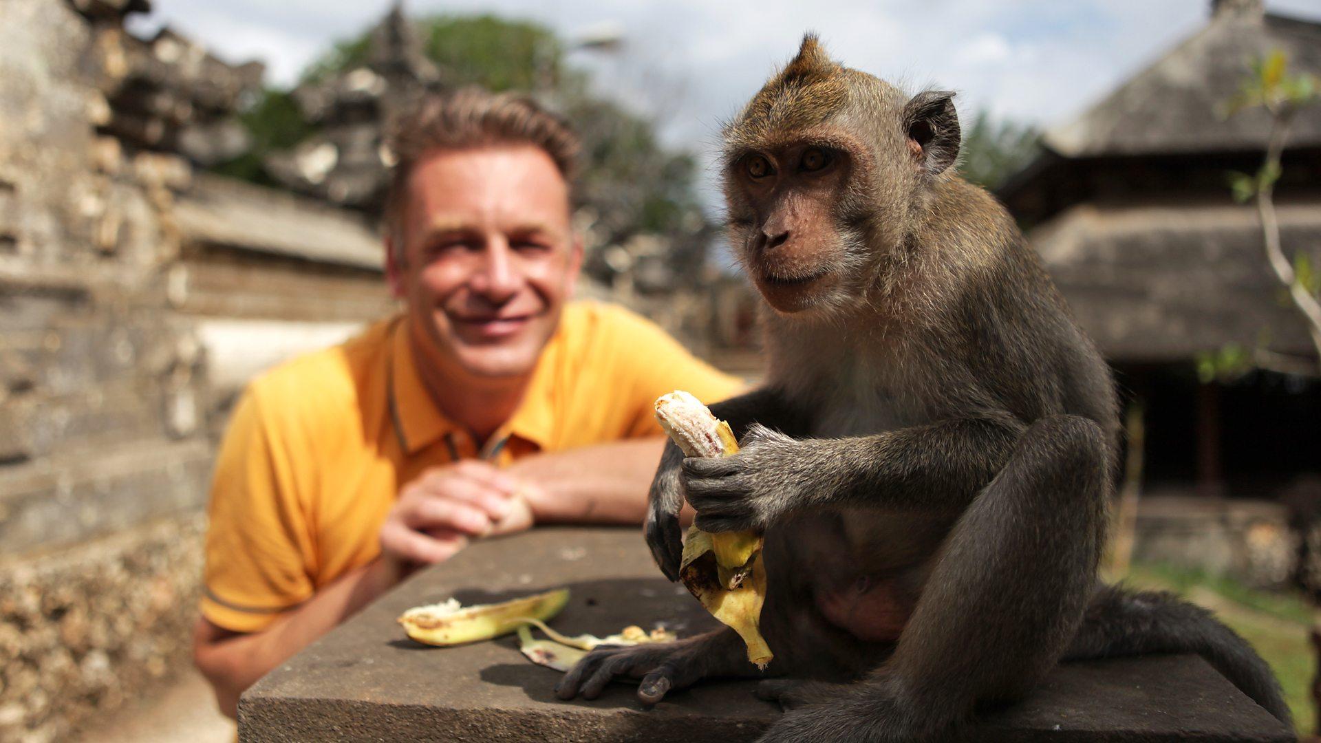 World's Sneakiest Animals