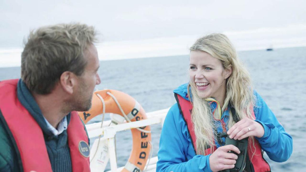 Britain's Whales and Sharks