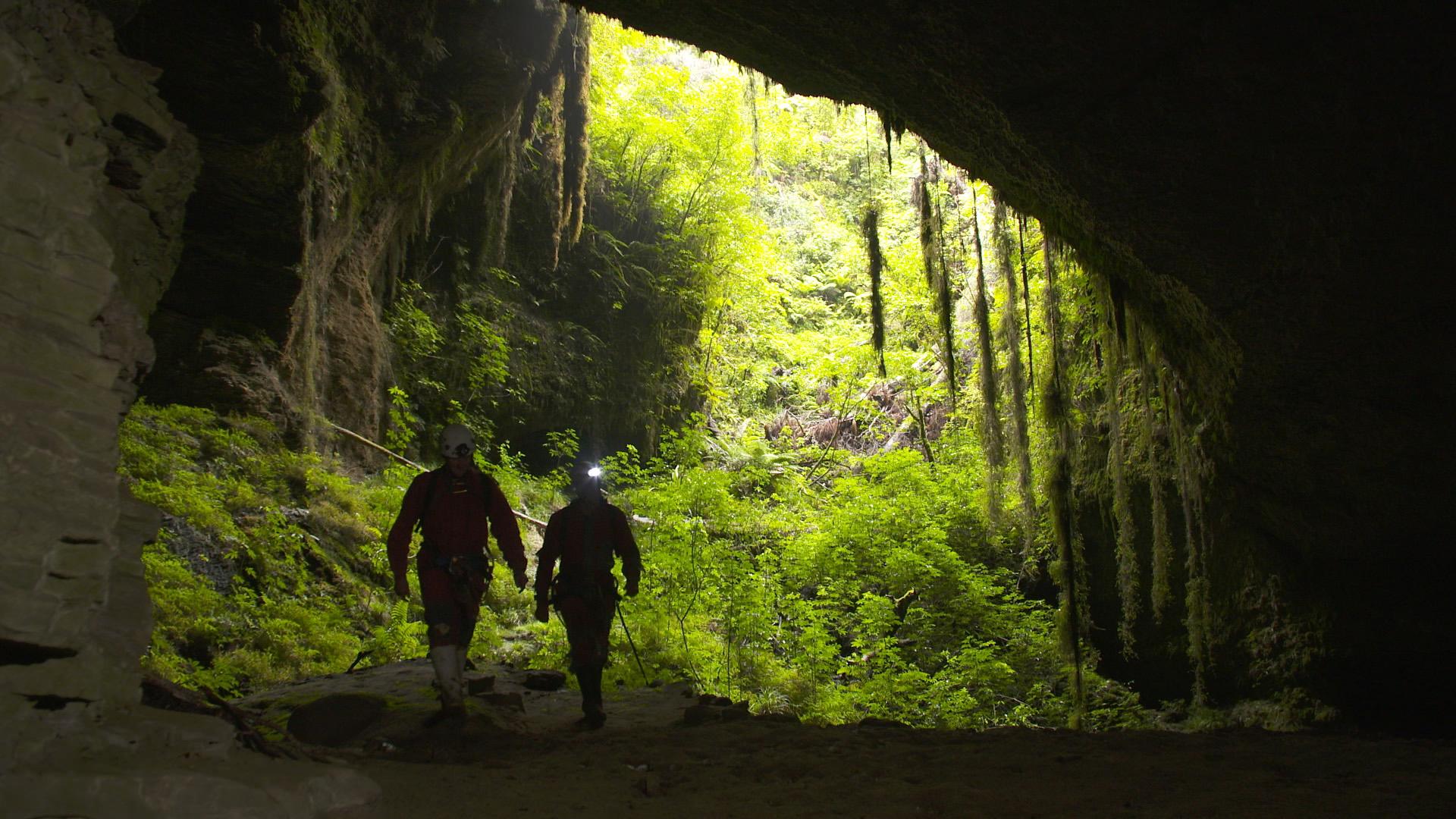 Beneath New Zealand