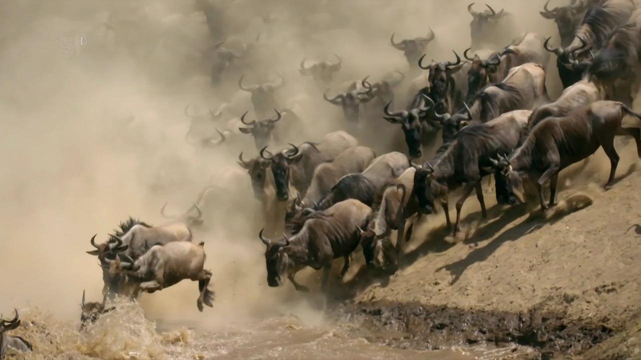 Ben Fogle: The Great African Migration