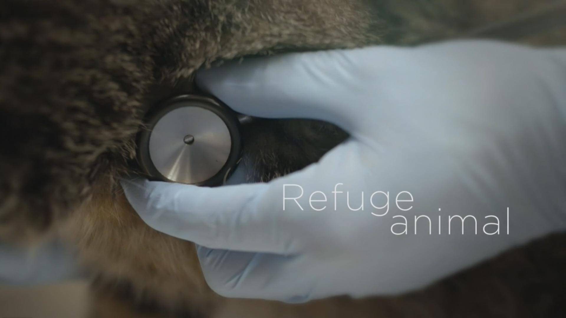 Refuge animal