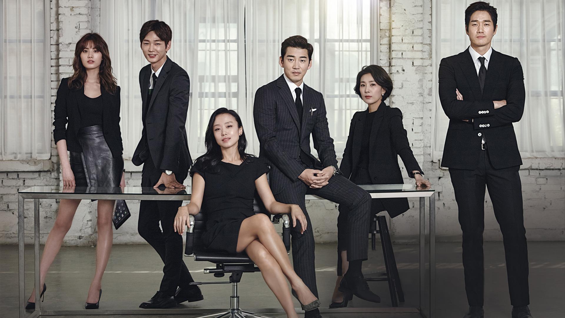 The Good Wife (KR)