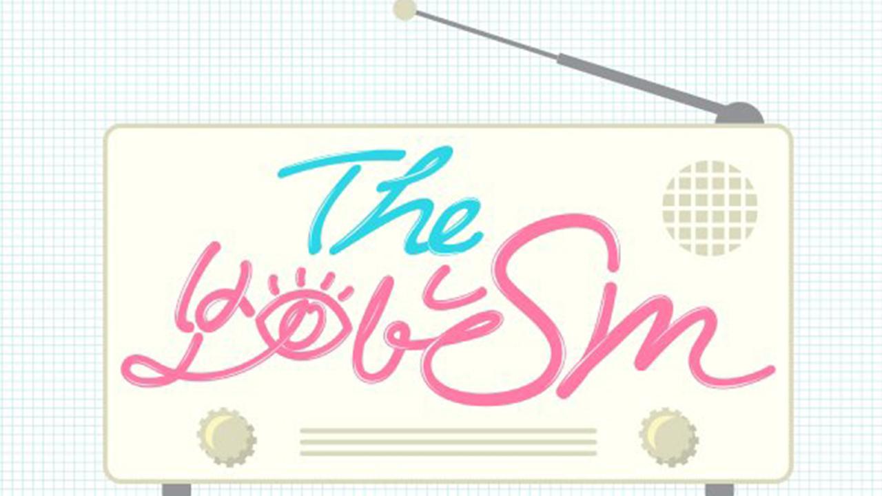 The Visible SM