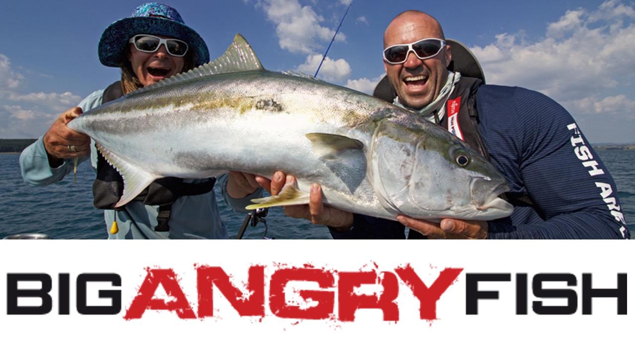 Big Angry Fish