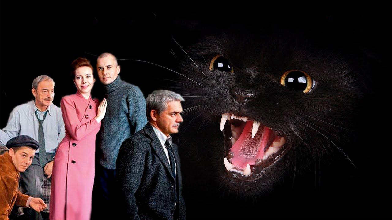 Black Cat